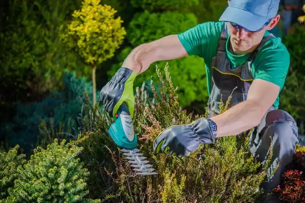 landscaping services Lake Isabella
